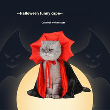 Pet Halloween Vampire Costume